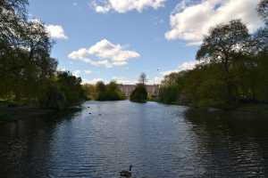 ST-JAMES-PARK (24)